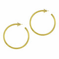 Betty Carre jewelry Betty Carre Paris Hoop Earring