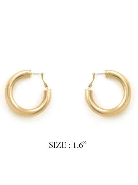 House of Trendz Earrings Chubby Hoop Earrings (Brushed Silver)